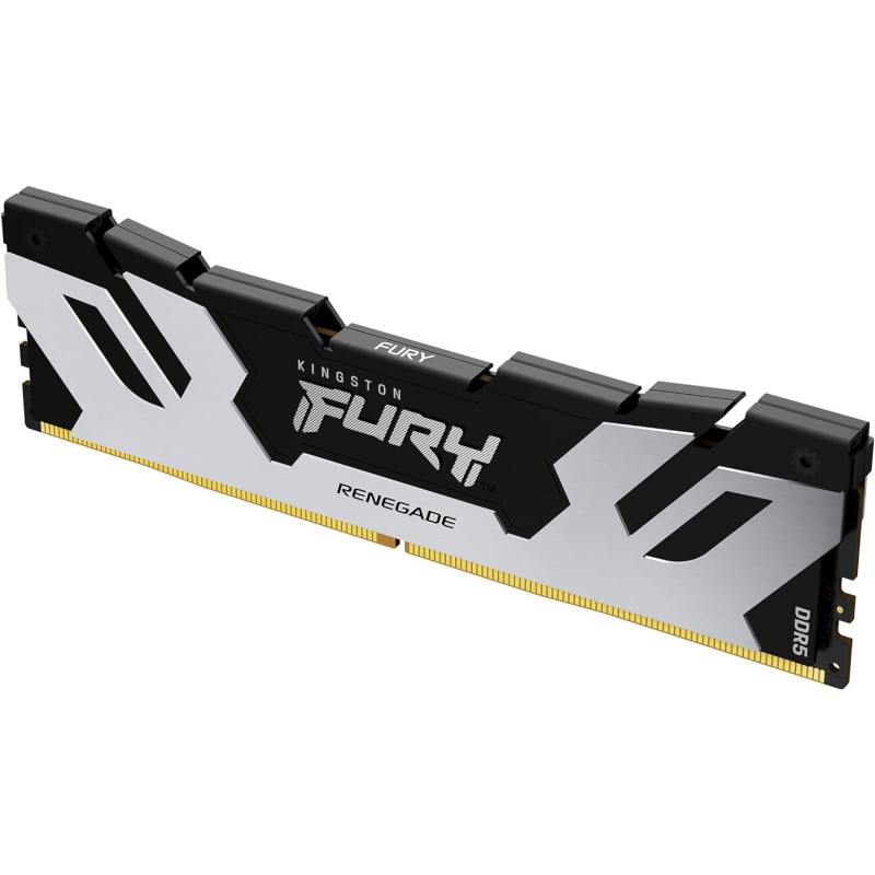Kingston Fury Renegade DDR5 Argento/Nero 5